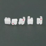 20Boxes 歯科矯正セラミックブラケットブレースRoth 018 345フック