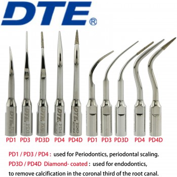 10Pcs Woodpecker DTE 歯科用超音波スケーラー用チップ (NSK Satelecと互換性あり)