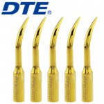 10Pcs Woodpecker GD1T 超音波スケーリング用チップ (DTE Satelec対応)