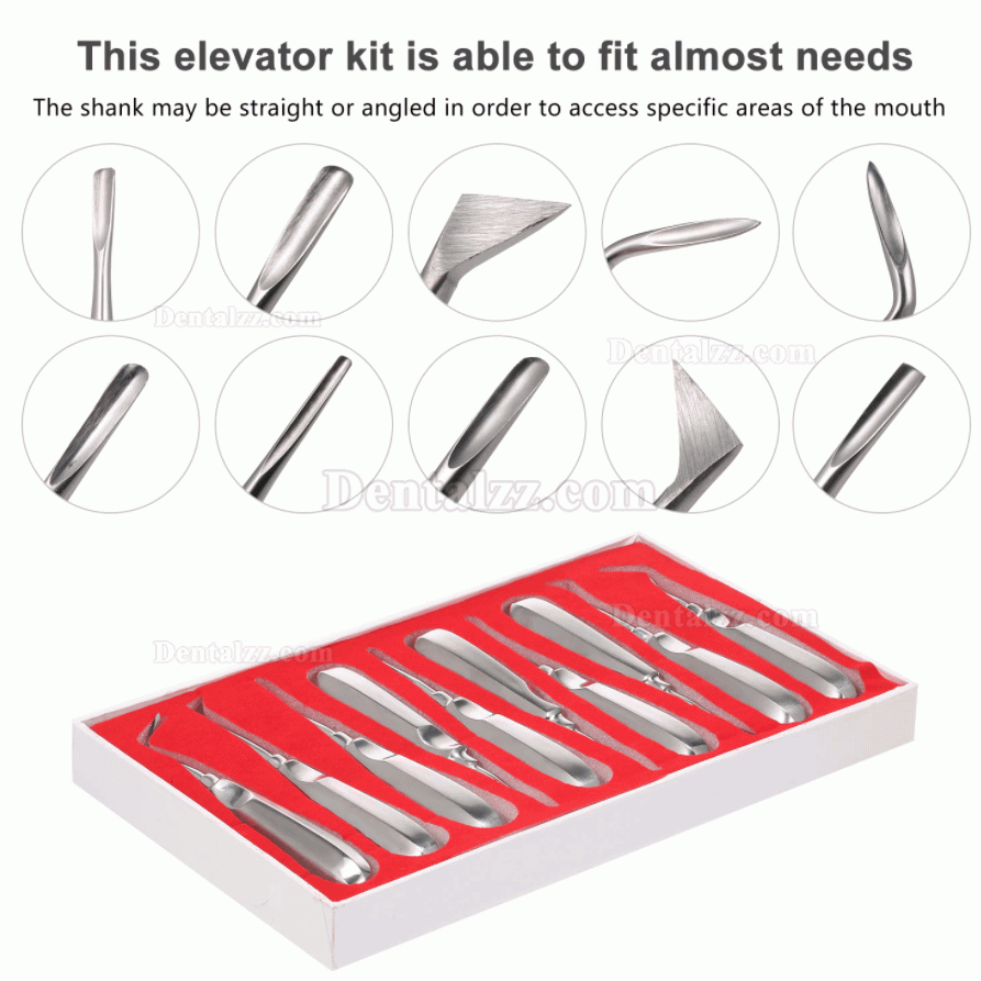 10Pcs 歯科用歯根エレベーター 歯科矯正器具