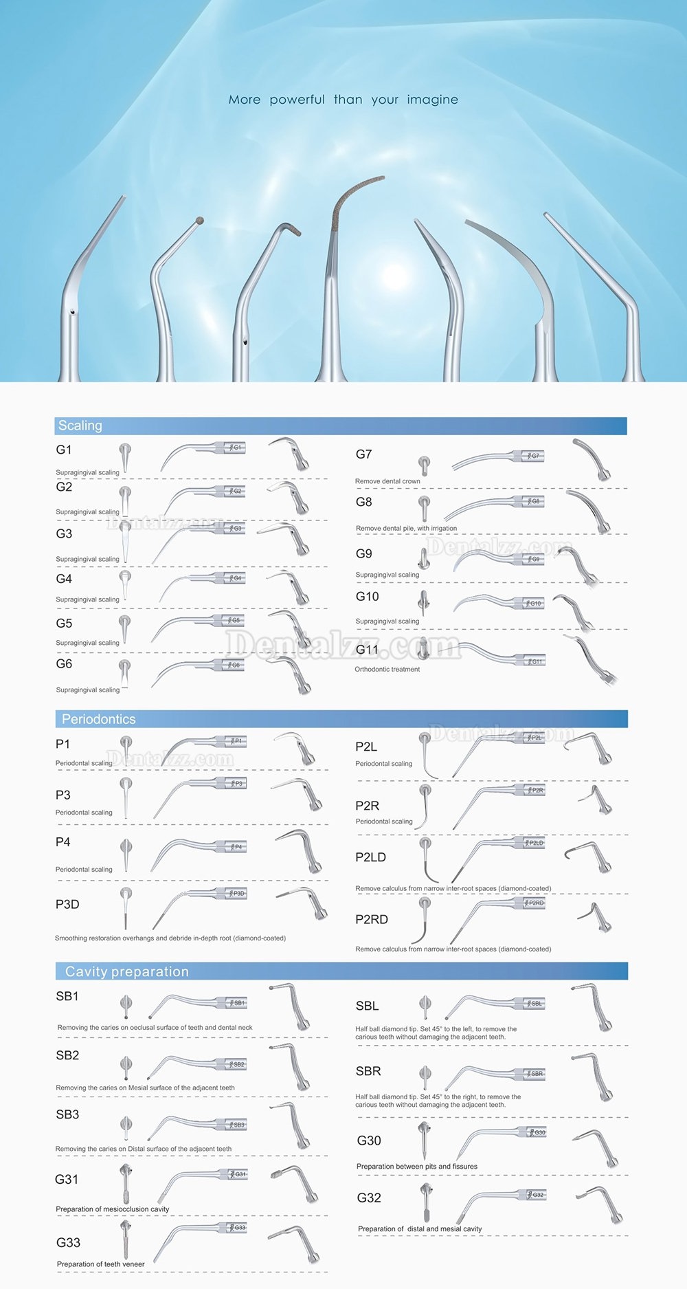 10Pcs Woodpeckerスケーラーチップ E1 E2 E3 E3D E4 E4D E5 E5D E8 E9 E10D E11 E11D E14